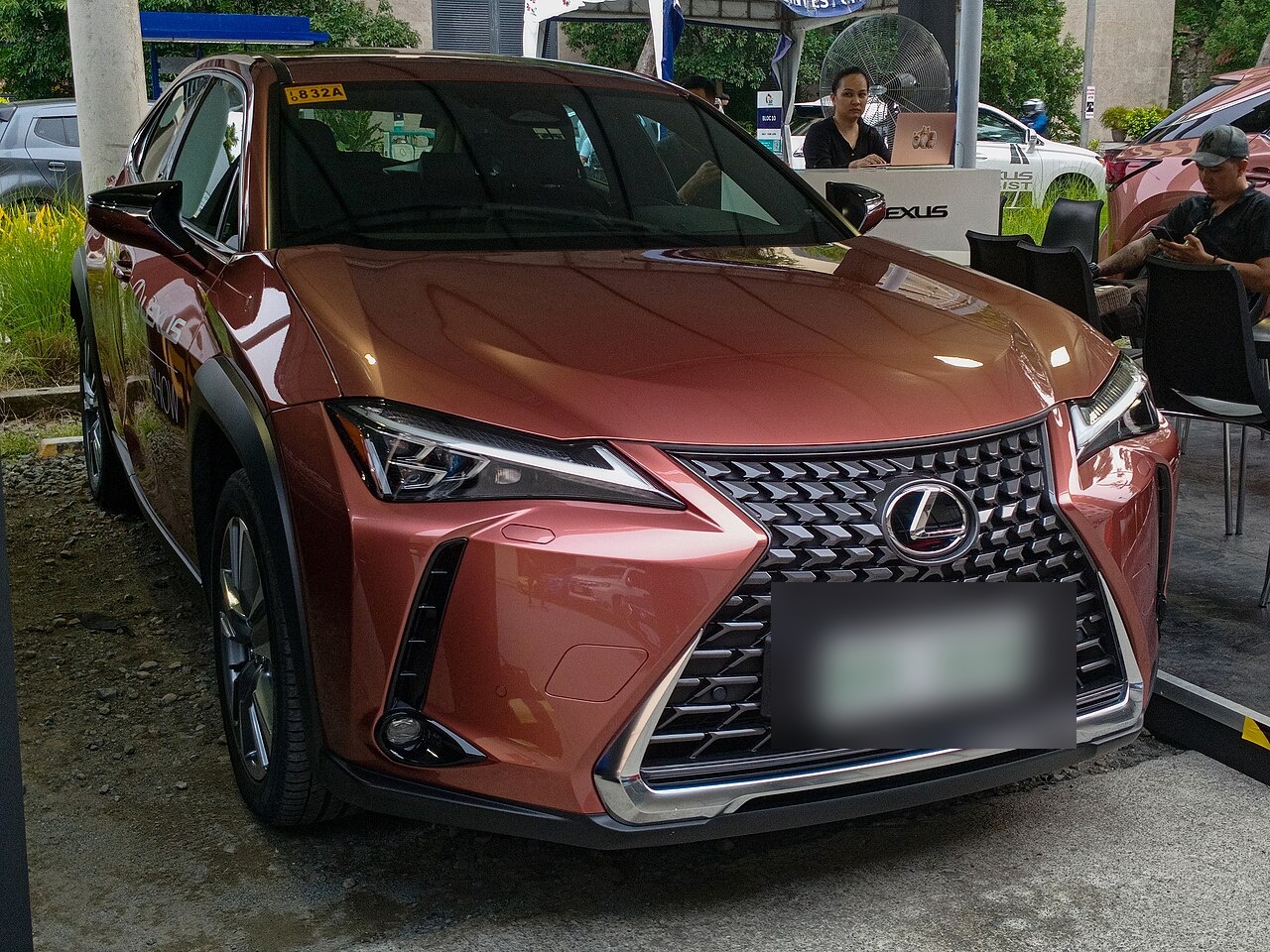雷克萨斯 雷克萨斯UX 300e